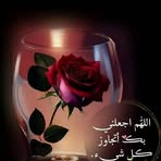 Profile Picture of Nora Sabeh (@nora.sabeh.2025) on Facebook