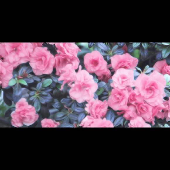 Profile Picture of Danielle Dumas (@danielleelissa) on Poshmark