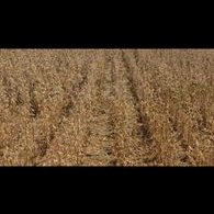 Profile Picture of Abram Wall (@AbramWall9) on Twitter