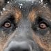 Profile Picture of Allison Daberko (@allisondaberko) on Pinterest