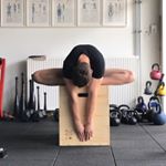 Profile Picture of Thomas Kumps 🤸‍♂️ Handstands (@thomaskumps) on Instagram