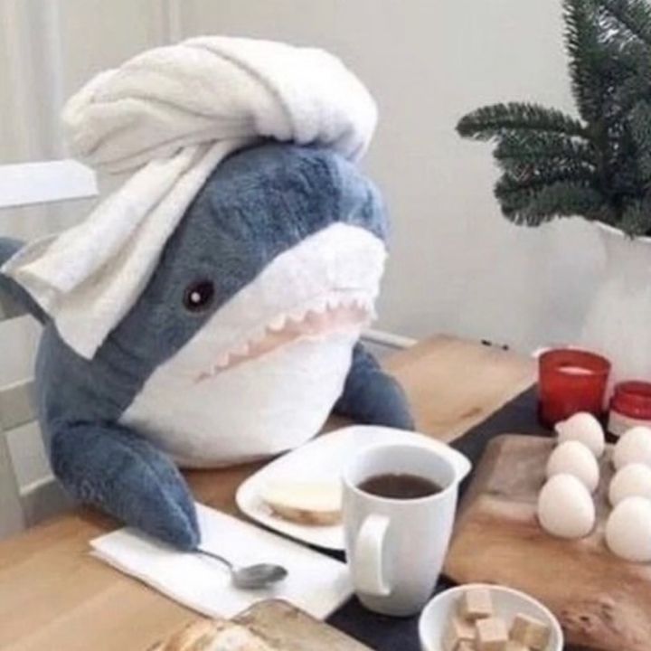 Profile Picture of daniel pero en espanol (@danielperoenespanol) on Tiktok