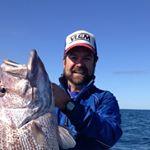 Profile Picture of Barry Bourne (@baza_terra_aus) on Instagram