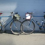 Profile Picture of Darius Cannon (@dariuscannon) on Instagram