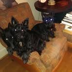 Alexander Banner Lyerly - Facebook Profile Picture of Alexander Banner Lyerly (@Alexander-Banner-Lyerly) on Facebook