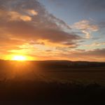 Profile Picture of MaxMcCain (@maxmccain85) on Instagram