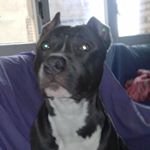 Profile Picture of Jorge Azcona Astrain (@azconaastrain) on Instagram