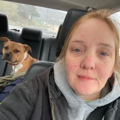 Profile Picture of kellynorquist (@kellynorquist) on Tiktok