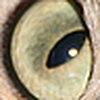 Profile Picture of James Cray (@James Cray) on Flickr