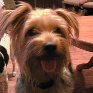 Profile Picture of Jason Willoughby (@jason.willoughby) on Myspace