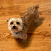 Profile Picture of Mike Brock (@mikebrock8682) on Youtube