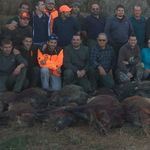 David Álvarez Maluenda - Instagram Profile Picture of David Álvarez Maluenda (@davidalvarezmaluenda) on Instagram