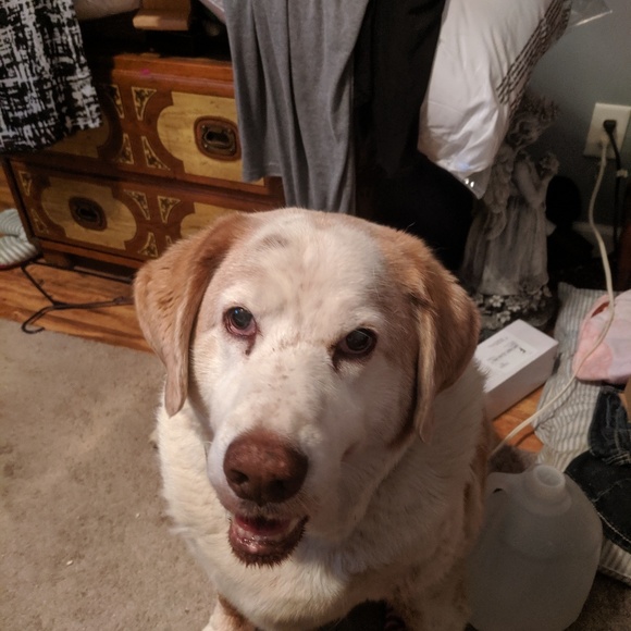 Profile Picture of Theresa Krizan (@ztm0088) on Poshmark