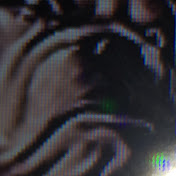 Profile Picture of Laura Barry (@laurabarry7415) on Youtube