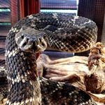 Profile Picture of Danielbolden (@danielbolden3641) on Instagram