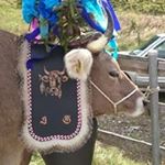 Profile Picture of Daniel Graber (@daniel.graber.1297) on Instagram