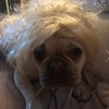 Profile Picture of John Mnv + lucky.ruby13 love (@@johnmnv) on Tiktok