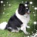 Profile Picture of Lillian Hurdle (@lillian.hurdle.7) on Facebook