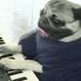 Profile Picture of Adam Melouk (@asmelouk01) on Pinterest