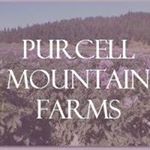 Profile Picture of Brian Dahlmann (@purcellmountainfarms) on Instagram