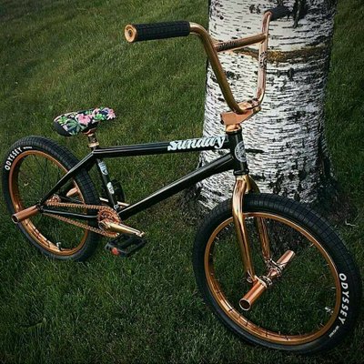 Diego  Mantilla Guti - Twitter Profile Picture of Diego  Mantilla Guti (@DiegomantillaG1) on Twitter