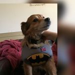 Profile Picture of ashleigh (@ashepryor2018) on Instagram