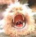 Profile Picture of Paul McClintock (@paul.mcclintock.14) on Facebook