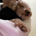 Profile Picture of Lok Leung (@i_am_lok_lok) on Instagram