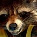 Profile Picture of Arin Wolfe (@arinwintermute) on Pinterest