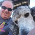 Profile Picture of Thomas McAndrews (@irishdisney) on Instagram