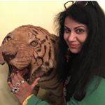 Profile Picture of Poonam  Chandrika Tyagi (@poonam_chandrika_tyagi_) on Instagram