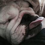 Profile Picture of James Beesley (@jchbeesley) on Instagram