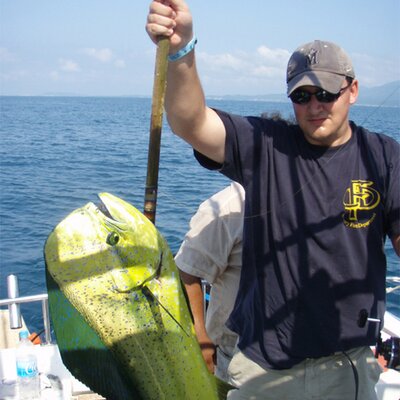 Profile Picture of Dave Bartsch (@Dave_Bartsch) on Twitter