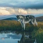 Profile Picture of Jose Dueñez (@jose.duenez.712) on Instagram