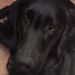 Profile Picture of Birgit Meyer-Otten (@birgitmeyerotte) on Pinterest