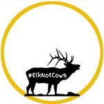 Profile Picture of Christina Penniman (@cpennimansb) on Instagram