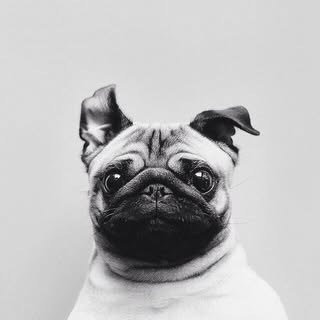 Profile Picture of David Rong (@davidrong) on Instagram