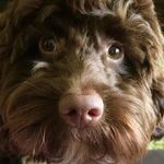 Andrew Newbury - Instagram Profile Picture of Andrew Newbury (@newburyandrew) on Instagram