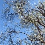 Profile Picture of Julie Vandewalle (@julesvdw87) on Instagram