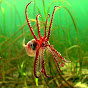 Profile Picture of irelandunderwater (@@irelandunderwater) on Tiktok