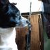 Profile Picture of Robert Winstead (@robert.winstead.129) on Facebook
