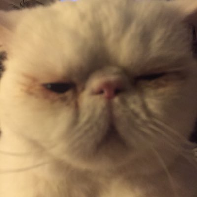 Profile Picture of Diane M Dunlap (@ddunlap42) on Twitter