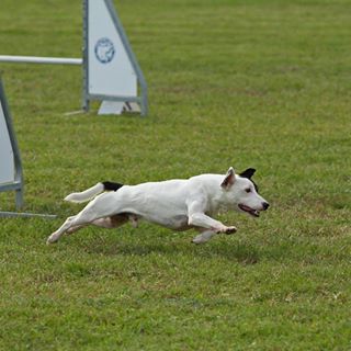 Profile Picture of Denis Bacci (@denis.bacci) on Facebook