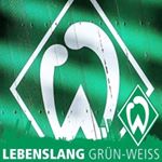 Profile Picture of Daniel Altermann (@danielaltermann) on Instagram