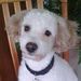 Profile Picture of Joyce Thacker (@ecyojthacker) on Pinterest