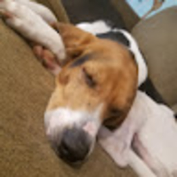 Marshall Thrasher - Poshmark Profile Picture of Marshall Thrasher (@marshallt1968) on Poshmark