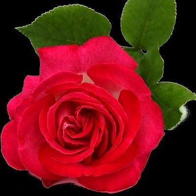 Profile Picture of Didi Kreko Stéphanie (@DidiKreko) on Twitter