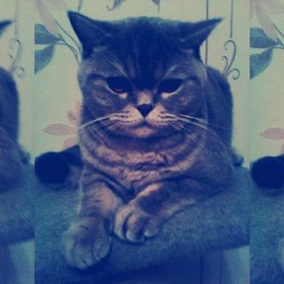 Profile Picture of Эвелишка Милашка (@&) on Facebook