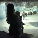 Profile Picture of Michelle Cocking (@michellecocking) on Instagram