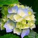 Profile Picture of geralda gege (@setorialpalmas) on Pinterest